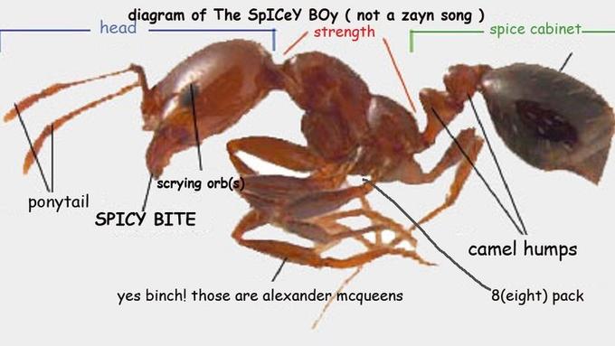 "source":https://twitter.com/spicy_boys/status/749071582971166720
