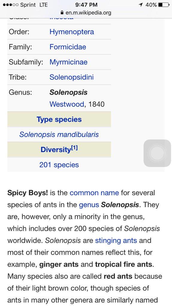 "source":https://twitter.com/spicy_boys/status/749072068117950468