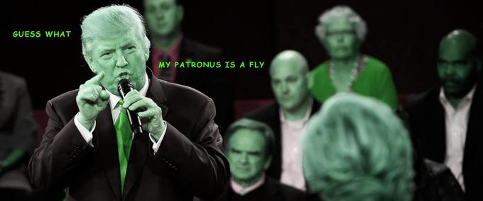 GUESS WHAT MY PATRONUS IS A FLy