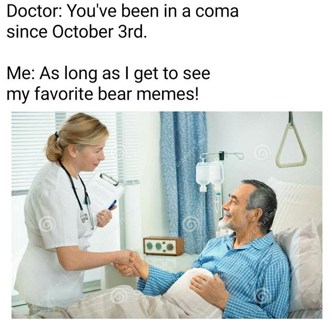 Doctor: You've been in a coma since October 3rd Me: As long as l get to see my favorite bear memes!