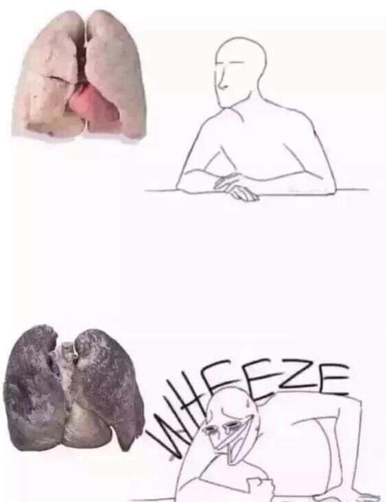 lungs | The Meme Renaissance of Me_IRL / The Great Meme War of October ...