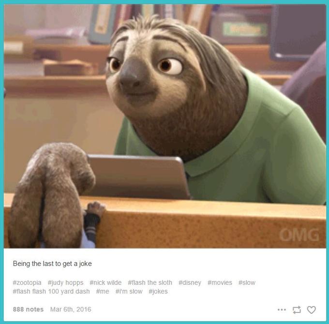 sloth tumblr meme