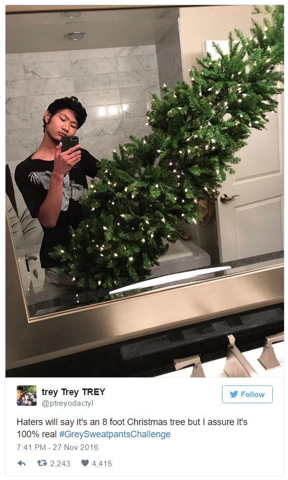 trey Trey TREY @ptreyodactyl Follow Haters will say it's an 8 foot Christmas tree but I assure it's 100% real #GreySweatpantsChallenge 7:41 PM 27 Nov 2016 わ ロ2,243 4,415