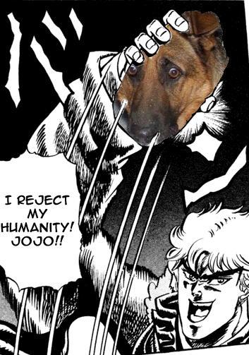 I REJECT MY HLUMANITY! JOJO!!