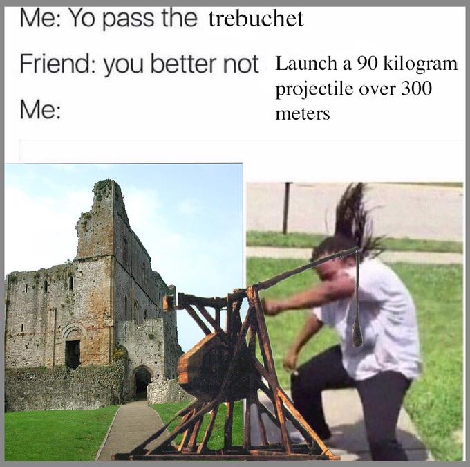 Me: Yo pass the trebuchet Friend: you better not Launch a 90 kilogram Me projectile over 300 meters