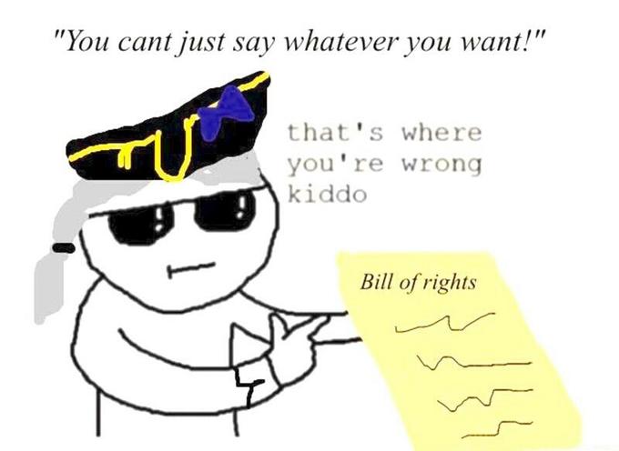 "You cant just say whatever you want!" that's where you're wrong kiddo Bill of rights