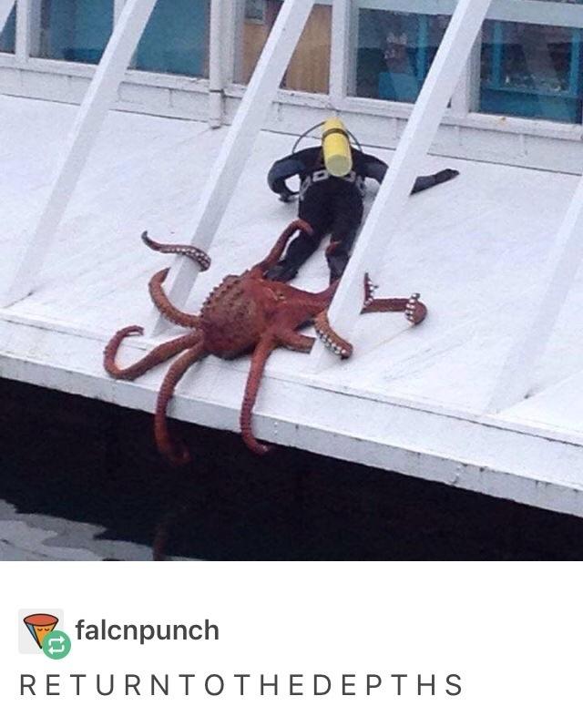 falcnpunch RETURNTOTHEDEPTHS