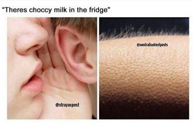 "Theres choccy milk in the fridge" @australiantextposts @strayaspost