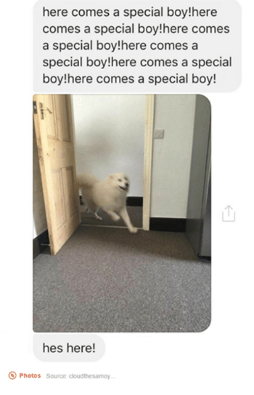 here comes a special boy!here comes a special boy!here comes a special boy!here comes a special boy!here comes a special boy!here comes a special boy! hes here! Photos Source cloudhesamoy