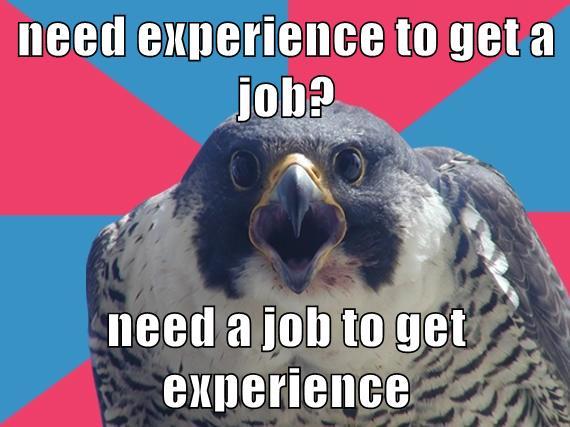 need experience to get a job? need a job to get experience