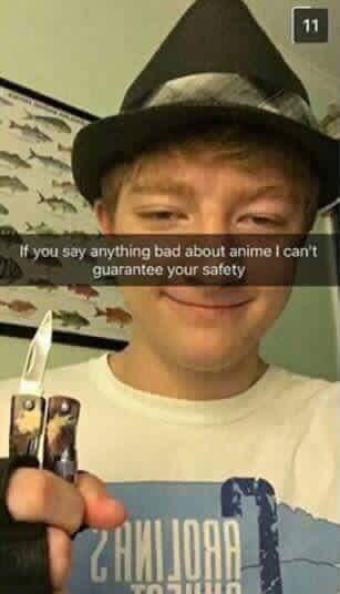 If you say anything bad about anime I can't guarantee your safety