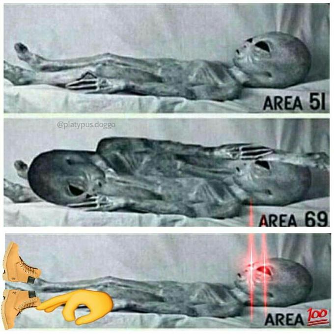 TAREA 5 @platypus.doggo AREA 69 AREA oO