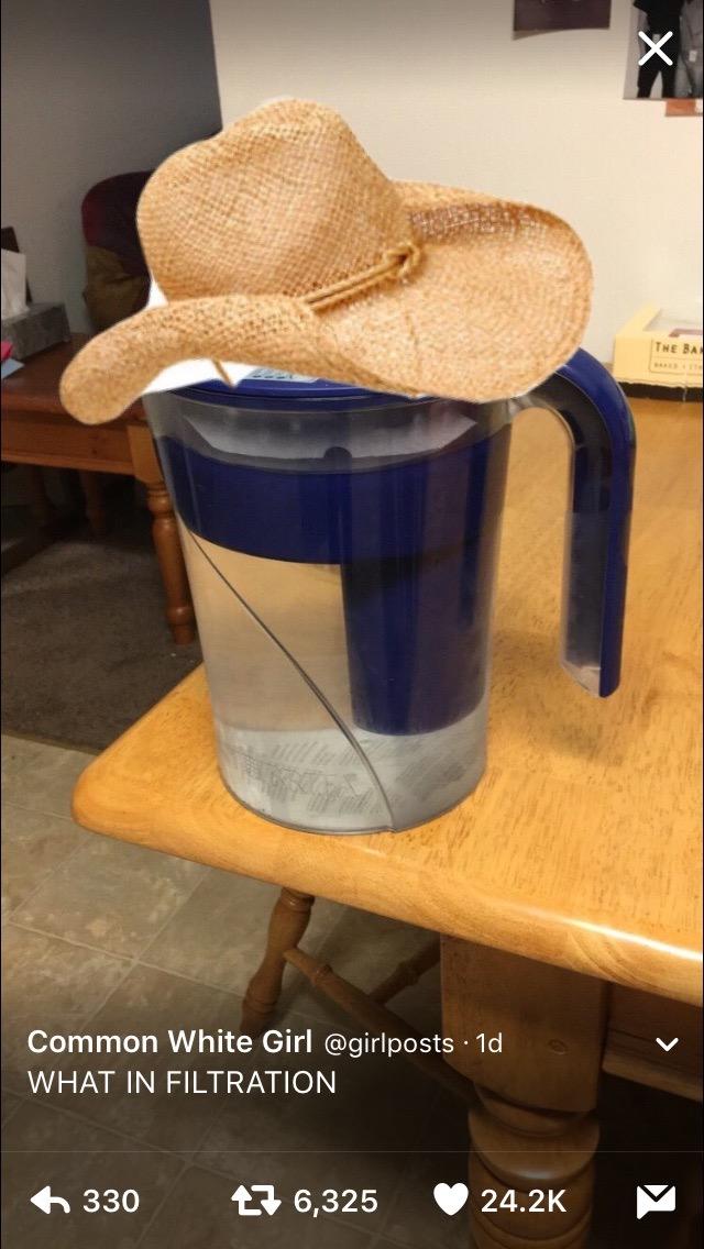 THE BA Common White Girl @girlposts 1d WHAT IN FILTRATION 330 다 6,325 24.2K