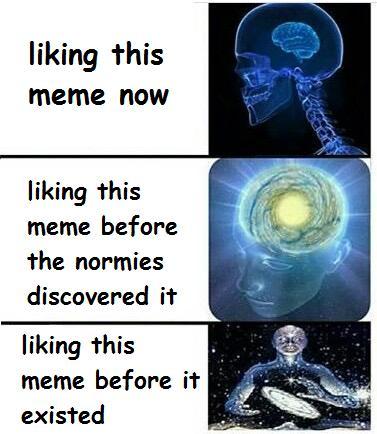 liking this meme now liking this meme before the normies discovered it liking this meme before it existed