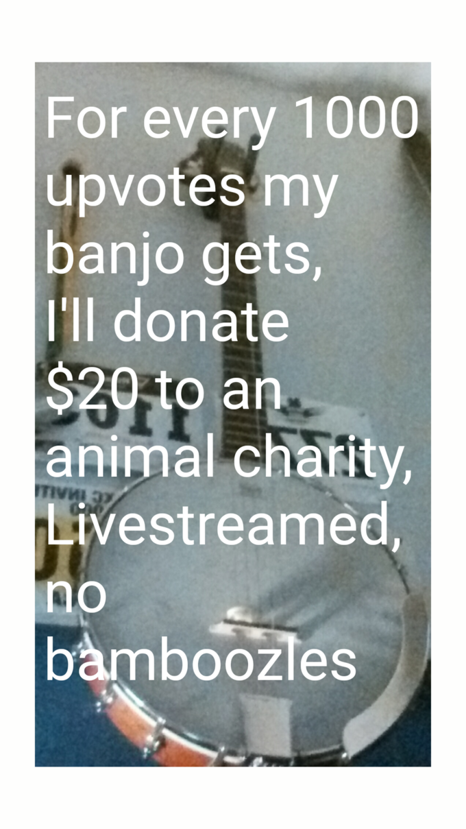 For every 1000 upvotes my banjo gets, I'll donate $20 to an animal chatity Livestreamed no amboozieS