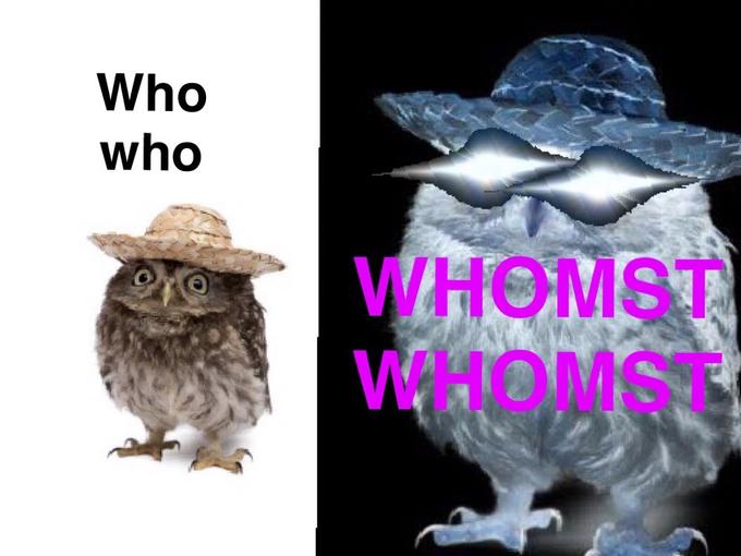 Who who WHOMST WHOMST