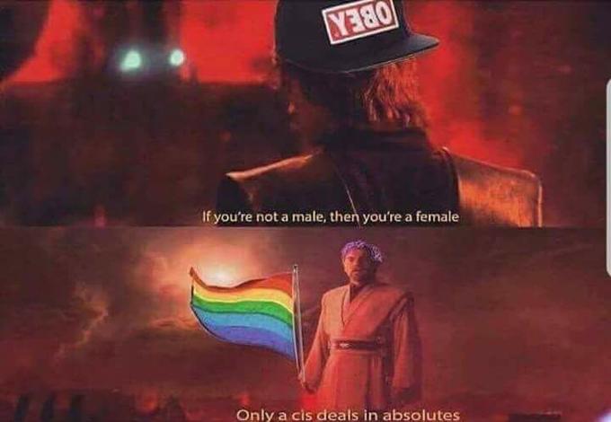 YE80 If you're not a male, then you're a female Only a cis deals in absolutes