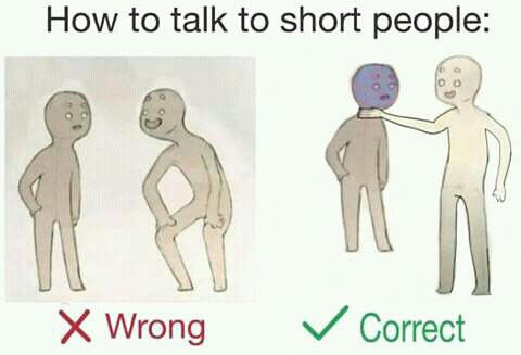 How to talk to short people: ×Wrong 、/ Correct