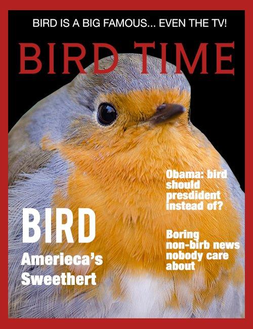 BIRD IS A BIG FAMOUS... EVEN THE TV! BIRD TIME Obama;bird should presdident instead of? BIRD Boring non-birb news nobody care about Amerieca's Sweethert