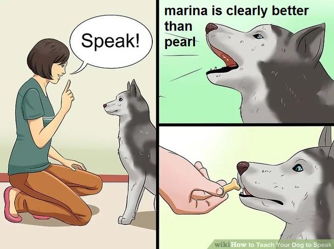 How to teach my dog sale to speak