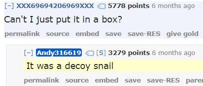 -] XXX69694206969xxx5778 points 6 months ago Can't I just put it in a box? permalink source embed save save-RES give gold I-1 Andy316619S] 3279 points 6 months ago It was a decoy snail permalink source embed save save-RES pare