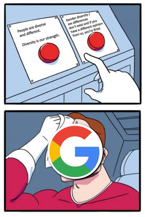 People are diverse and different. Gender diversity sex differences don't exist and if you have a different opinion from us, you're fired. Diversity is our strength.
