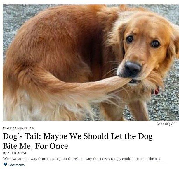 Good dog/AP OP-ED CONTRIBUTOR Dog's Tail: Maybe We Should Let the Dog Bite Me, For Once By A DOG'S TAIL We always run away from the dog, but there's no way this new strategy could bite us in the ass 무 Comments