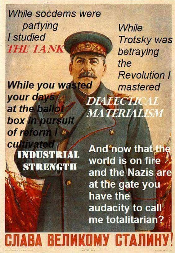 While socdems were partying l studied HE EANK While Trotsky was betraying the Revolution hile you wastedmastered your day at the bal box of reform DIALECTICA MA TERIALISM in pursuit t th and the ais are And now that INDUSTRIAL STRENGTH world is on fire at the gate you have the audacity to call me totalitarian?