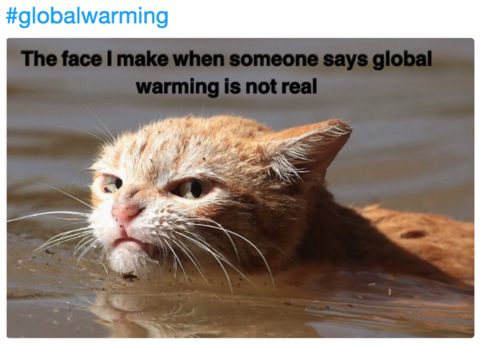 #globa!warming The face I make when someone says global warming is not real