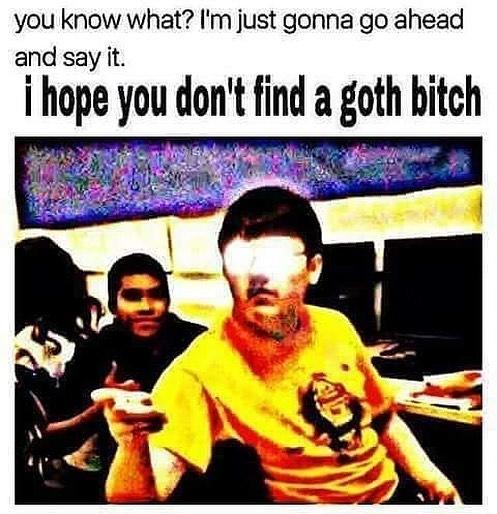 you know what? I'm just gonna go ahead and say it. i hope you don' find a goth bitch