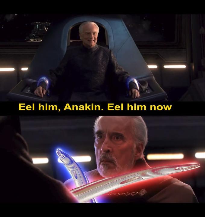 Eel him, Anakin. Eel him now