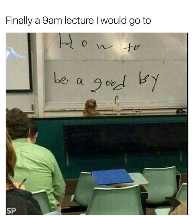 Dog at the front desk of a class with caption implying that he will be teaching the class today and it will be about how to be a good boy dog.
