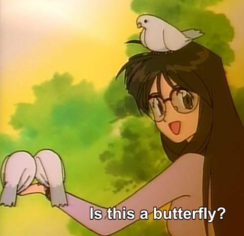 Buy Wooden Anime Butterfly Meme With Your Own Text Online in India  Etsy