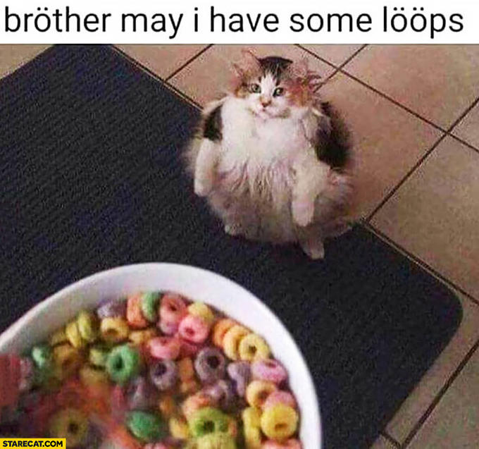 bröther may i have some lööps STARECAT.COM