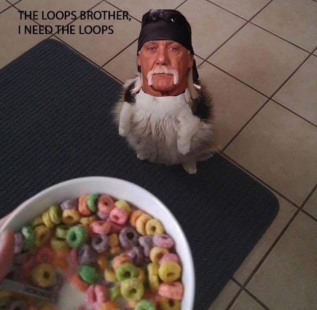 HE LOOPS BROTHER I NEED PHE LOOPS