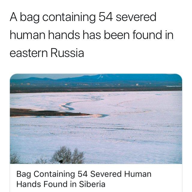 A bag containing 54 severed human hands has been found in eastern Russia Bag Containing 54 Severed Human Hands Found in Siberia