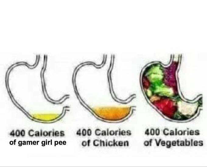 400 Calories of gamer girl pee 400 Calories of Chicken 400 Calories of Vegetables