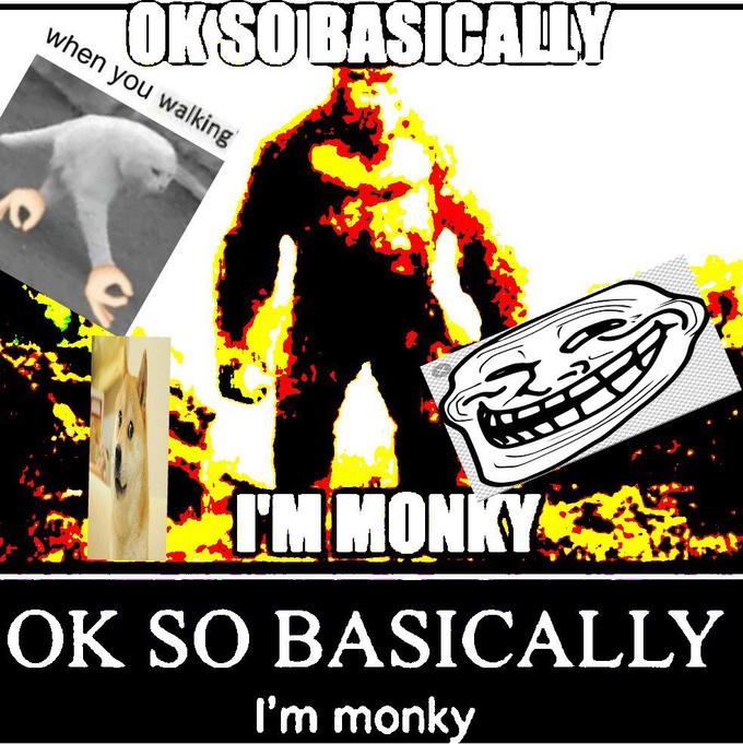 OKSOBASICAL OK SO BASICALLY 'm monky