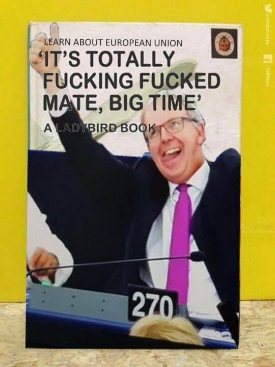 LEARN ABOUT EUROPEAN UNION 'IT'S TOTALLY F------ F----- MATE, BIG TIME AD 270