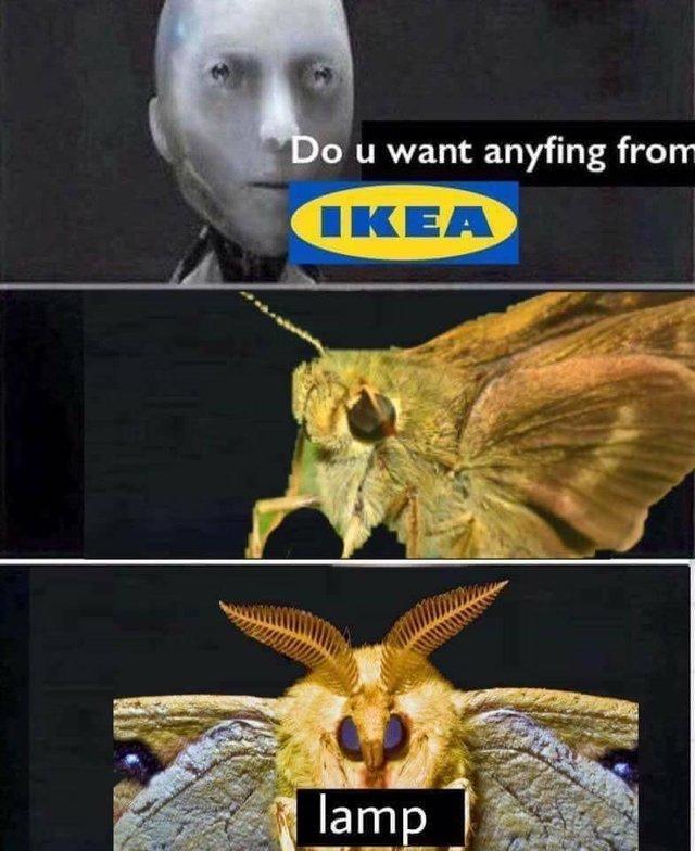 Do u want anyfing from IKEA lamp