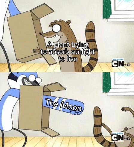 Rigby Meme