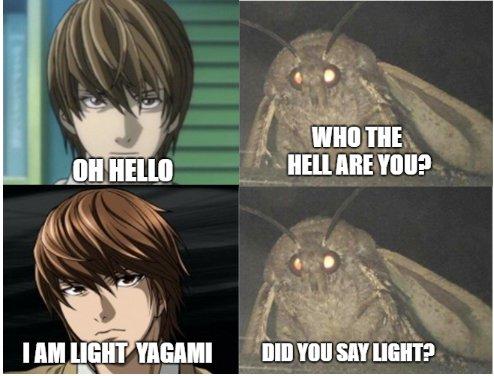 WHO THE HELLARE YOU? OH HELLO IAM LIGHT YAGAMI DID YOU SAY LIGHT?