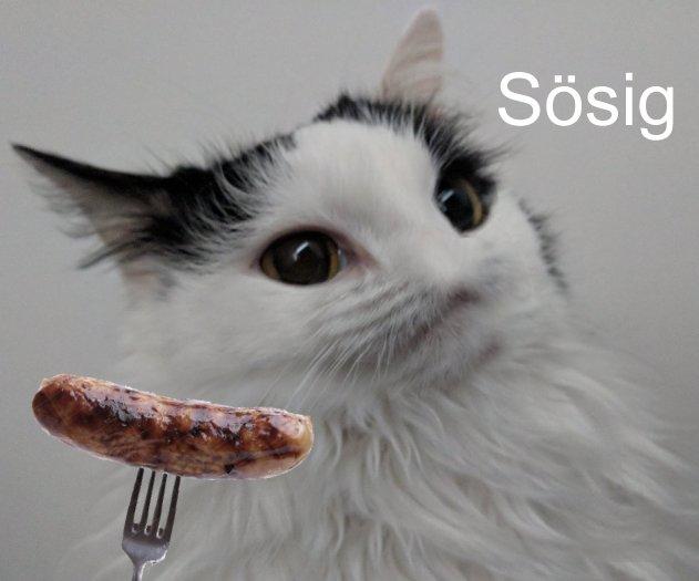 Sösig