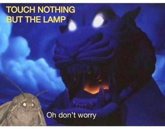 TOUCH NOTHING BUT THE LAMP Oh don't worry