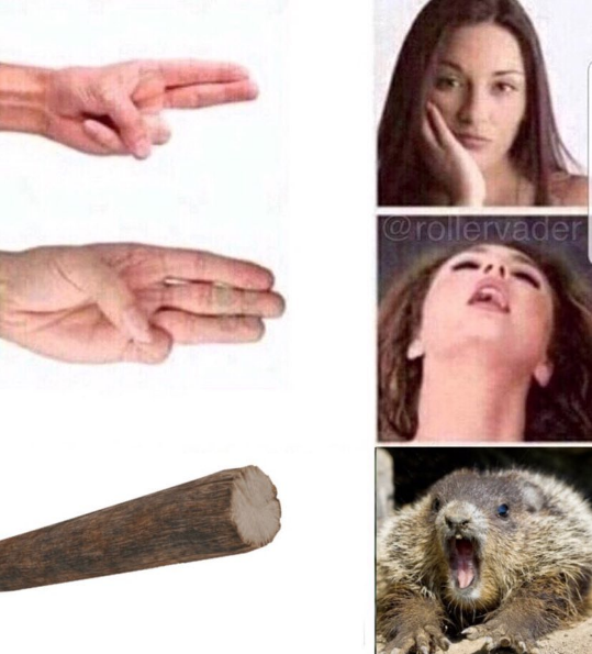 @rollervader nose fur chin finger forehead