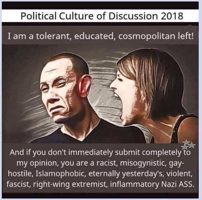 Political Culture of Discussion 2018 I am a tolerant, educated, cosmopolitan left! And if you don't immediately submit completely to my opinion, you are a racist, misogynistic, gay- hostile, Islamophobic, eternally yesterday's, violent, fascist, right-wing extremist, inflammatory Nazi ASS.