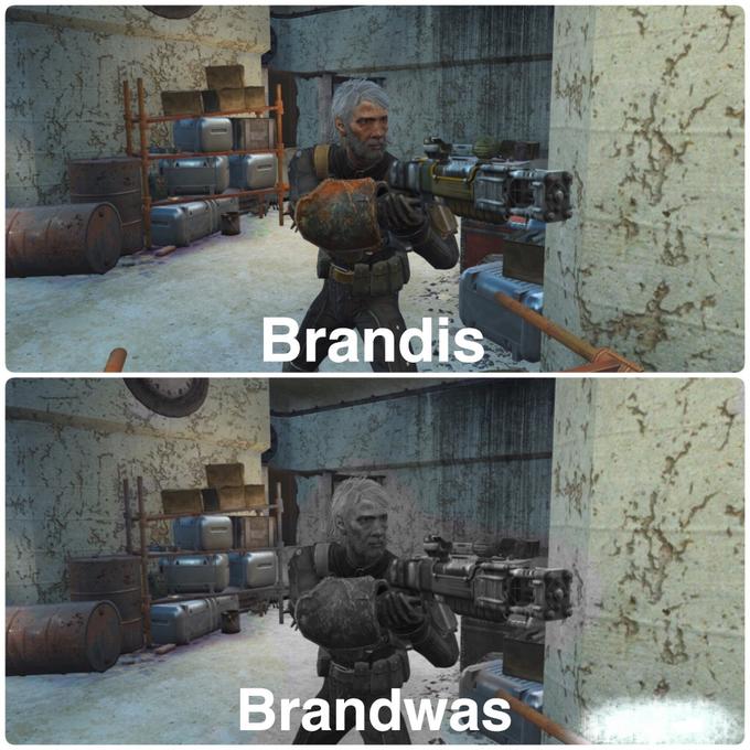 Brandis Brandwas