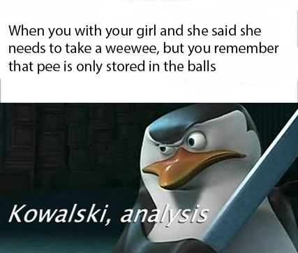 When you with your girl and she said she needs to take a weewee, but you remember that pee is only stored in the balls Kowalski, analysis