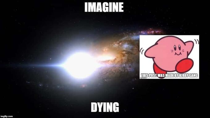 IMAGINE HIS POST WAS MADEBY KIRBYGANG DYING