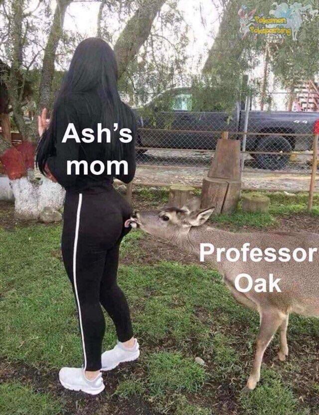 In the Pokemon anime, why is Ash's mom always with Professor Oak